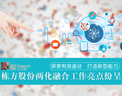 探索有效途徑，打造新型能力——棟方股份兩化融合工作亮點紛呈